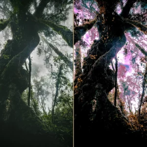The Guardians Complete Twins fine art print OneArtPix